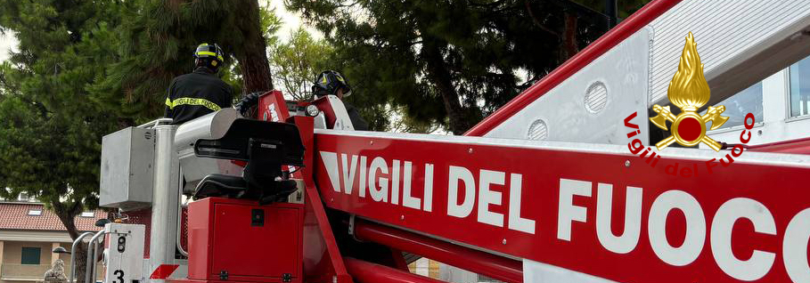 Rimozione ramo pericolante a San Benedetto del Tronto
