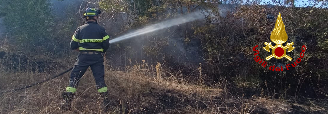 In fiamme un terreno agricolo a ridosso di alcune abitazioni