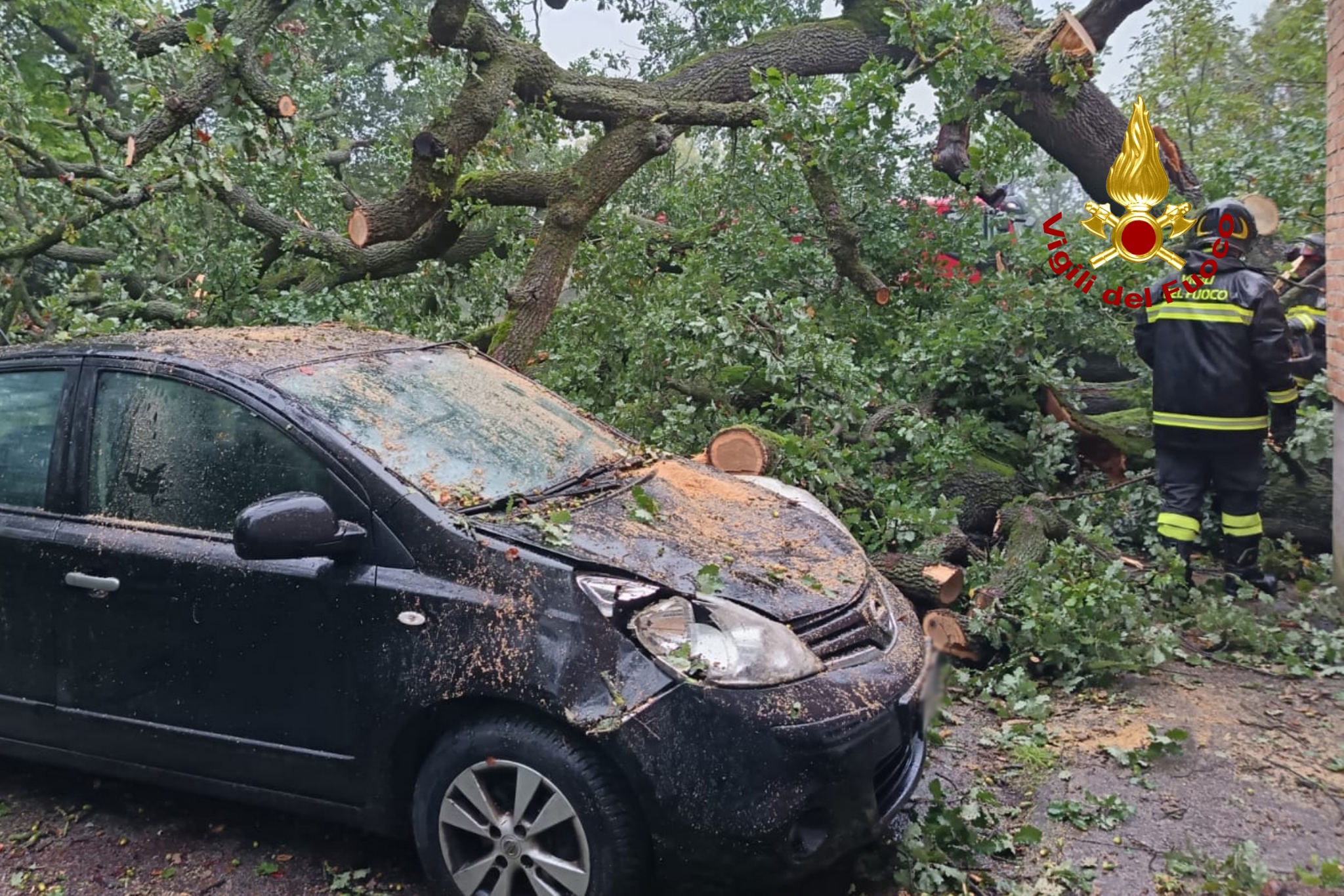 CADUTA ALBERI SU AUTOVETTURE