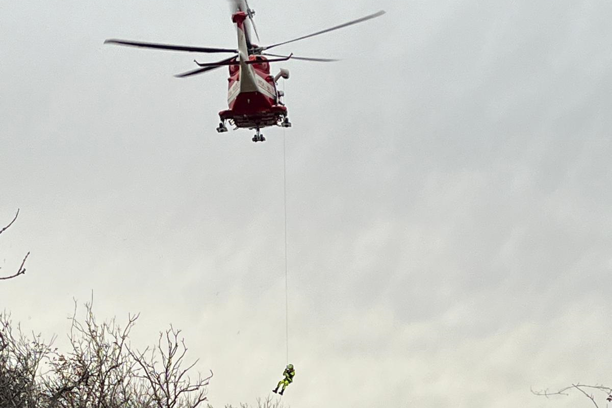 COPERTINA.jpg Salvataggio Cavallo
