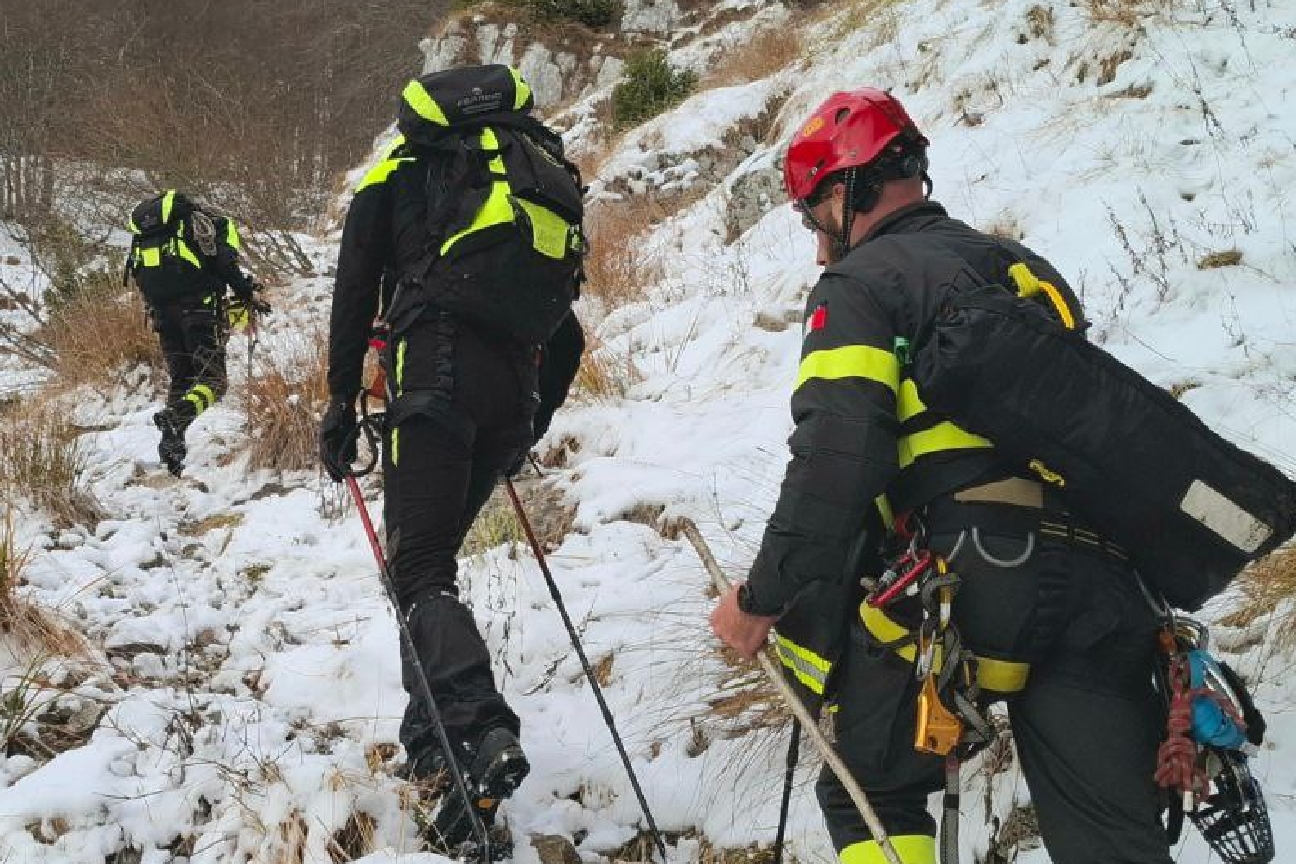 IMG_20241209_152436_765_copy_1296x864.jpg Soccorso cane