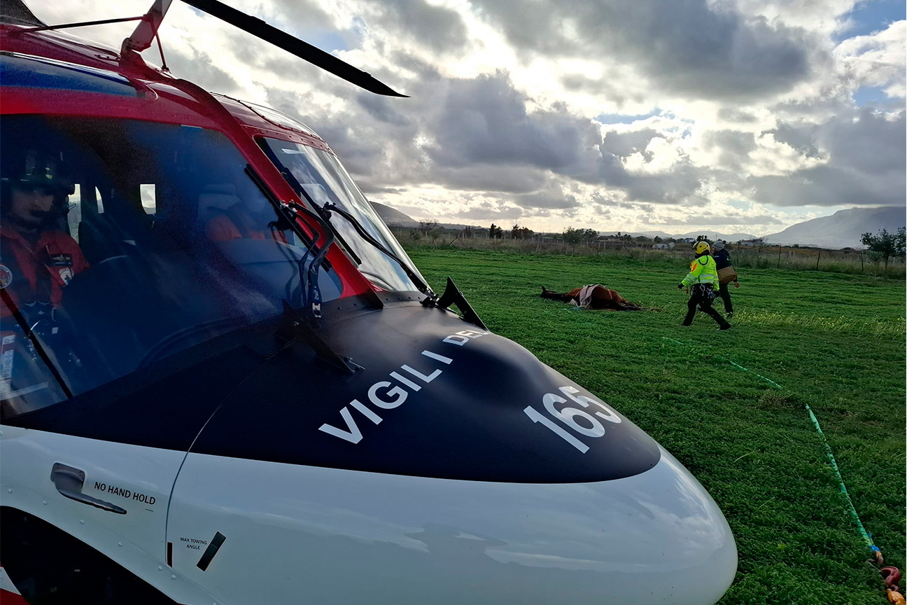 recupero cavallo con elicottero