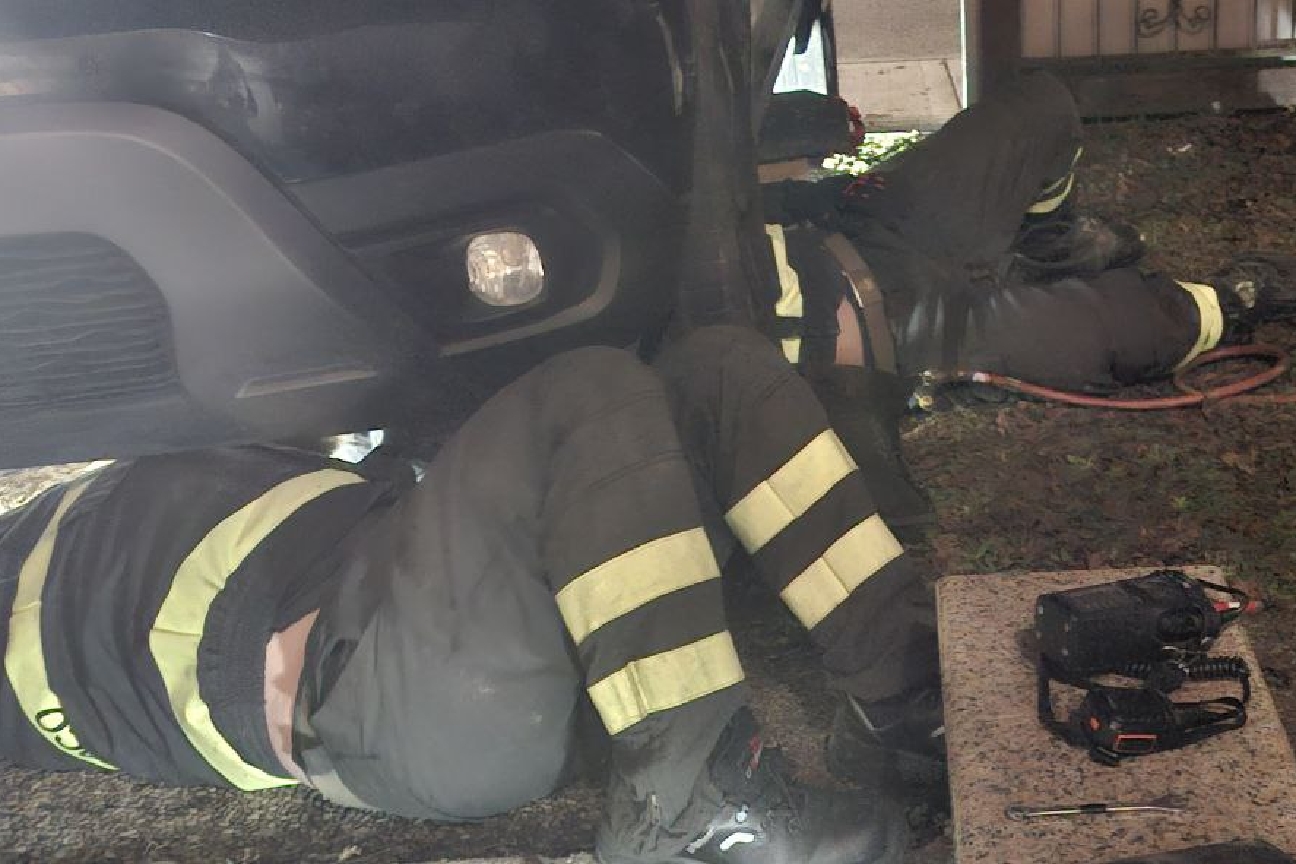 IMG_20250120_211418_935_copy_1296x864.jpg Salvataggio gatto