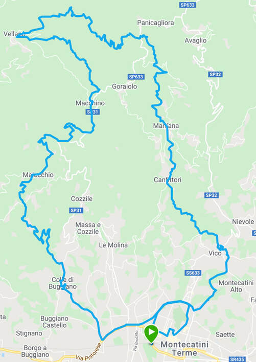 MTB_LT MTB_LT