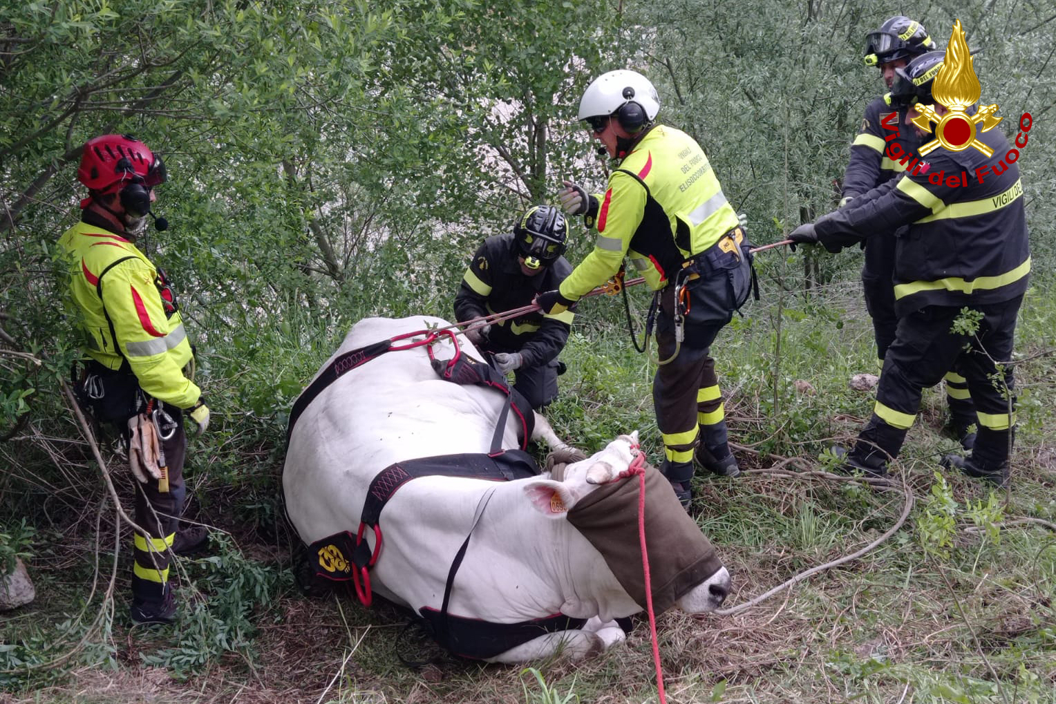 soccorso soccorso