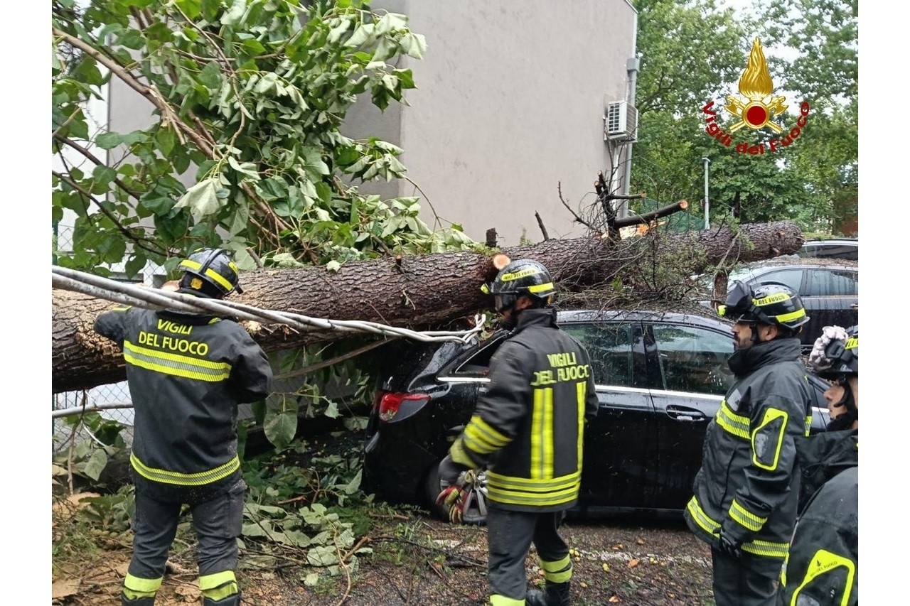 Reggio Emilia, nubifragio sulla Città 1 Vigili del fuoco impegnati a rimuovere un albero caduto a causa del maltempo