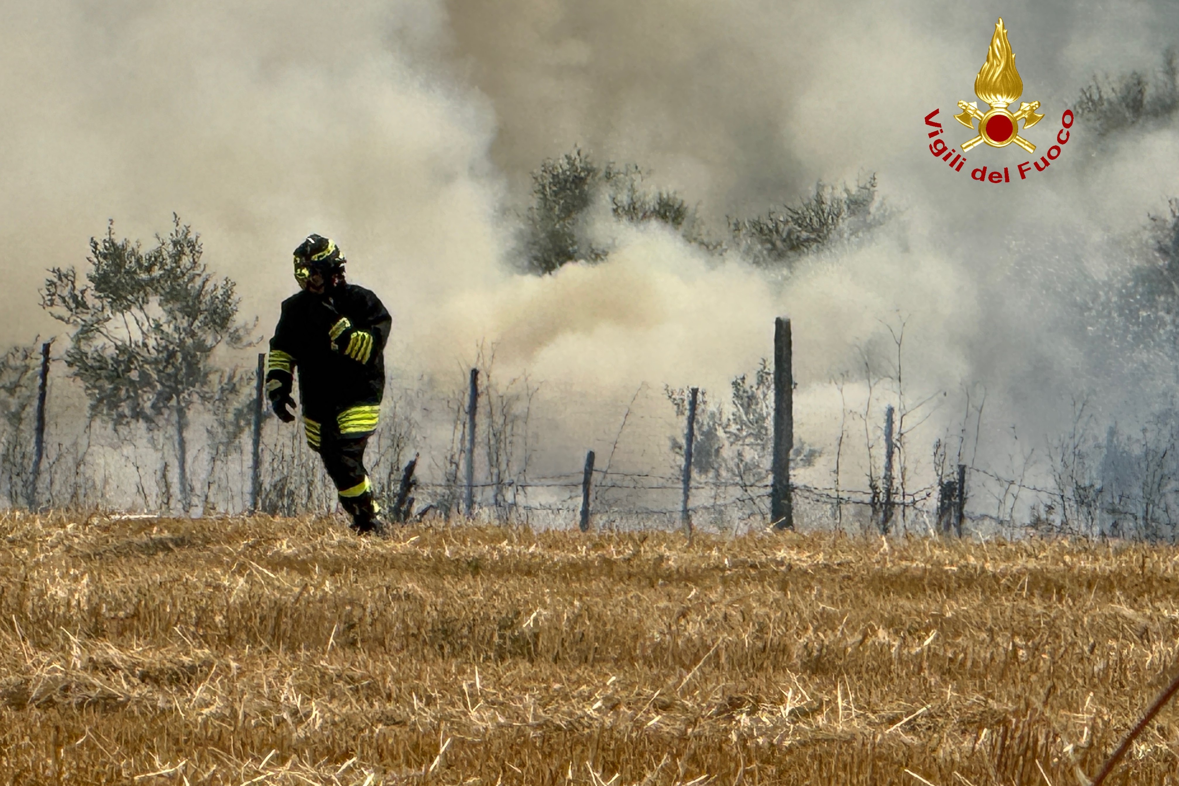 incendio sterpaglia e manufatto agricolo