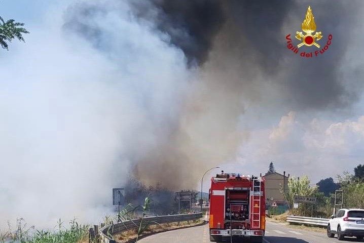 incendio vegetazione