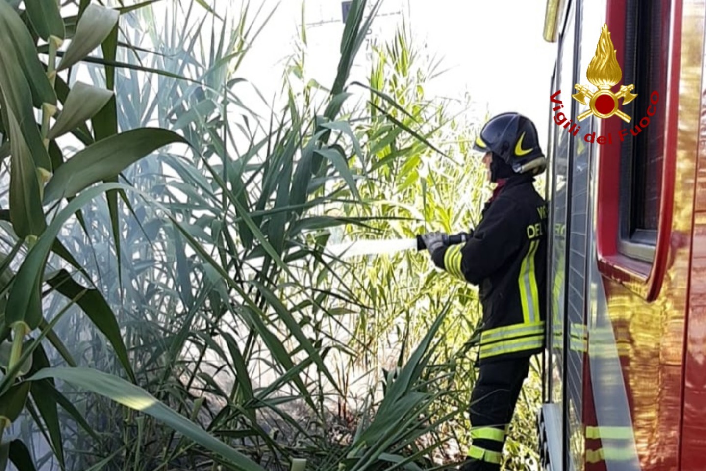 incendio sterpaglia lungo la via ferroviaria
