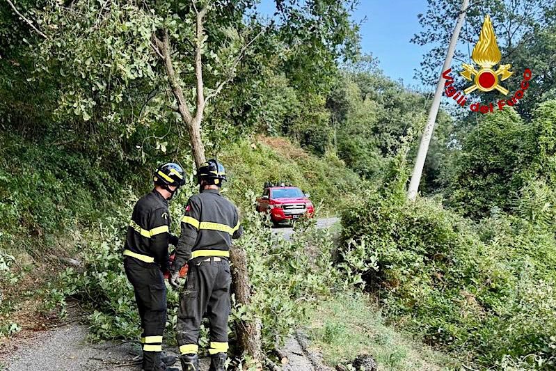 Sorano (GR) recupero infortunato in zona boscata