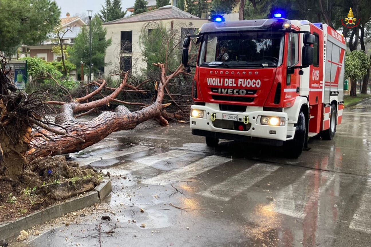 Vigili del fuoco per liberare strade da alberi caduti
