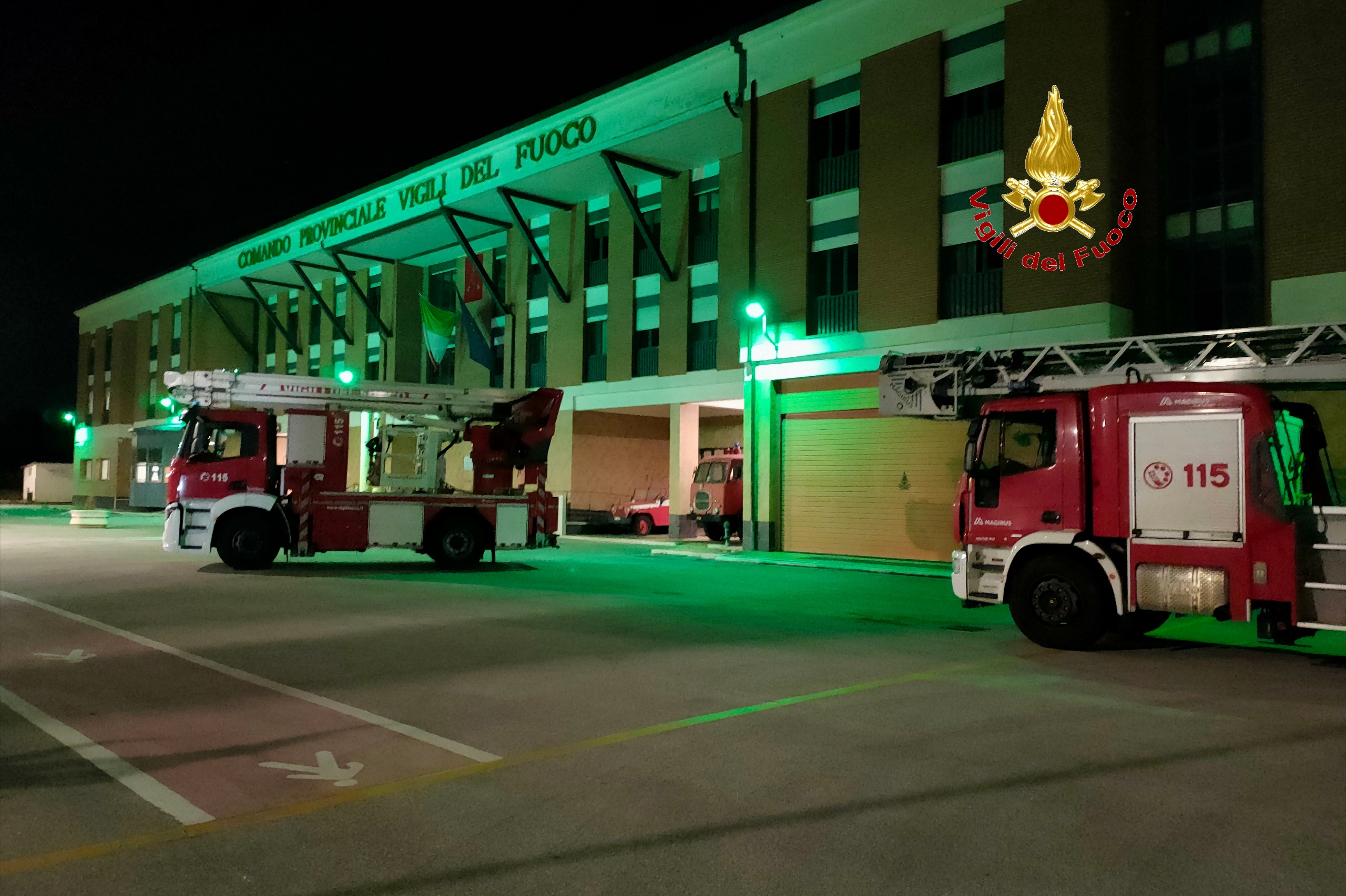 Giornata sindrome Pans Pandas Giornata sindrome Pans Pandas