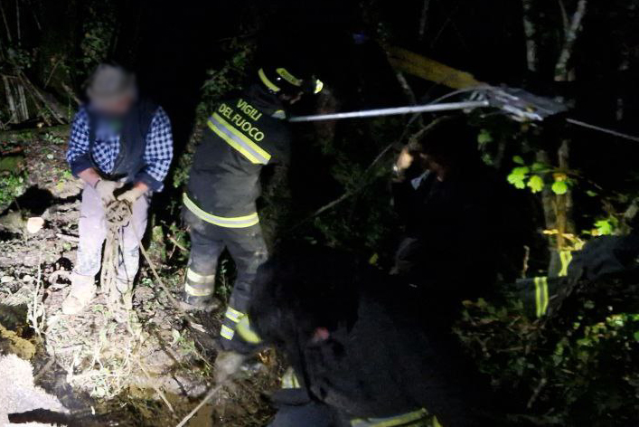 Soccorso asina Soccorso asina