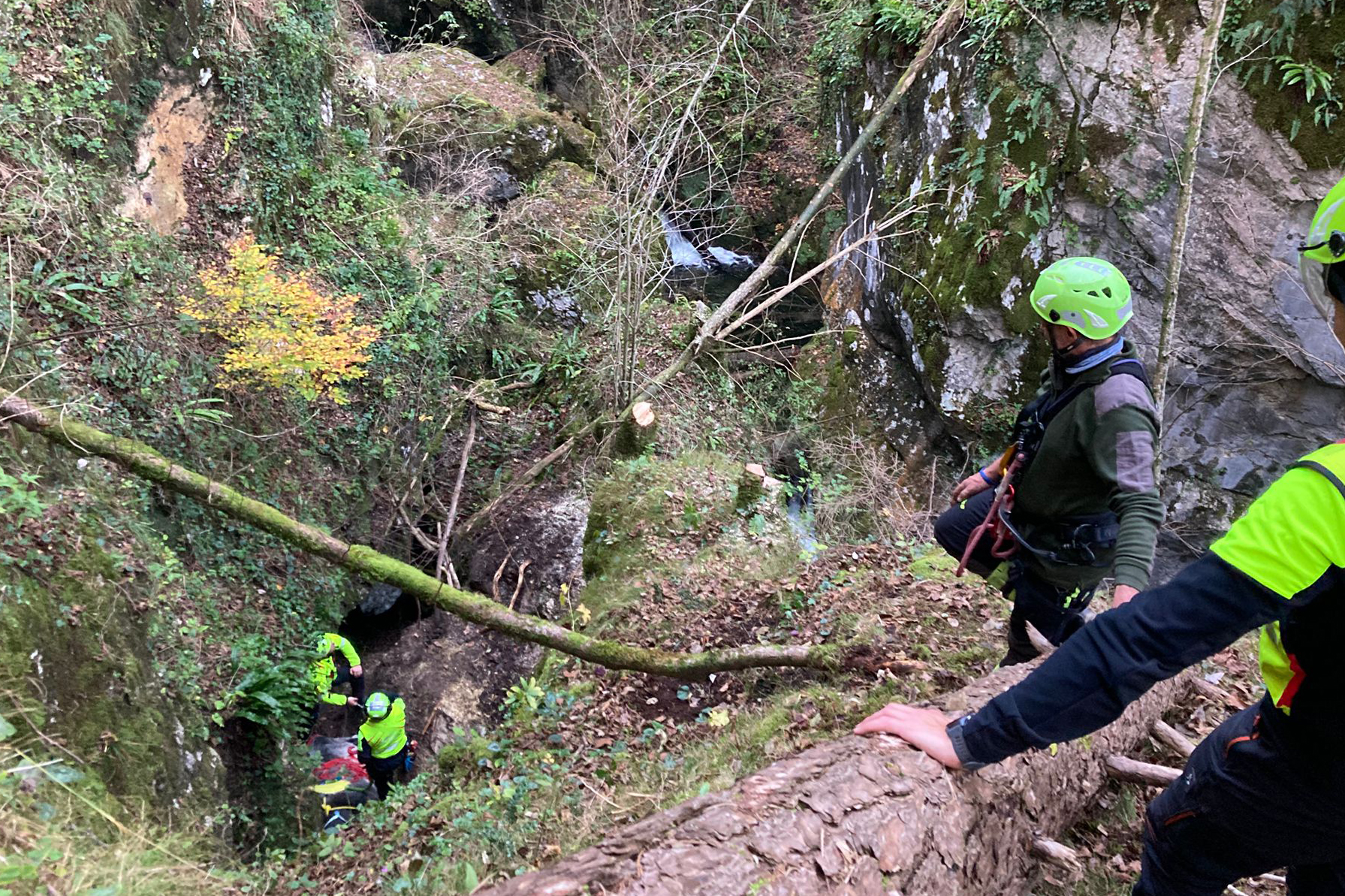 Salvataggio vitellina