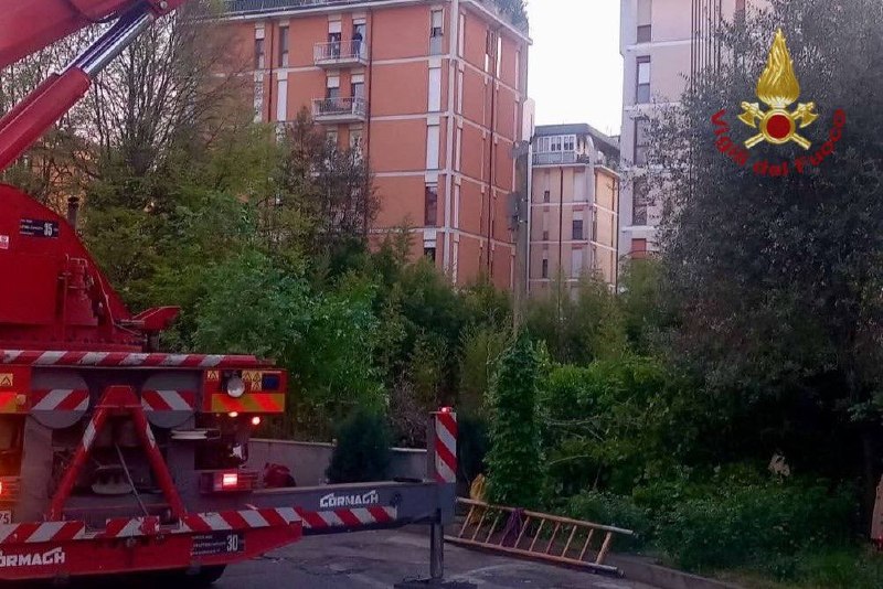 Albero crolla a Treviso