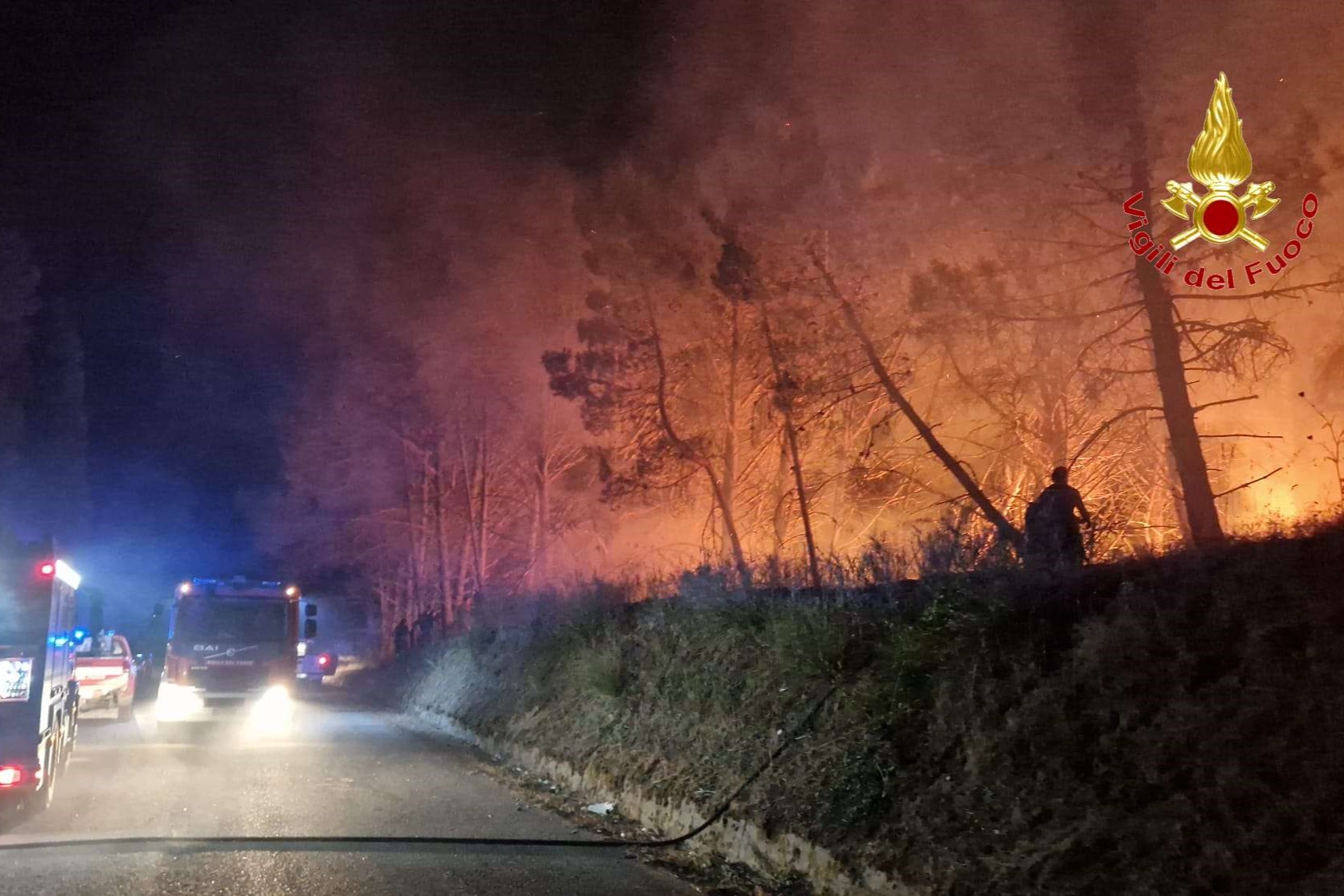 incendio torre galli