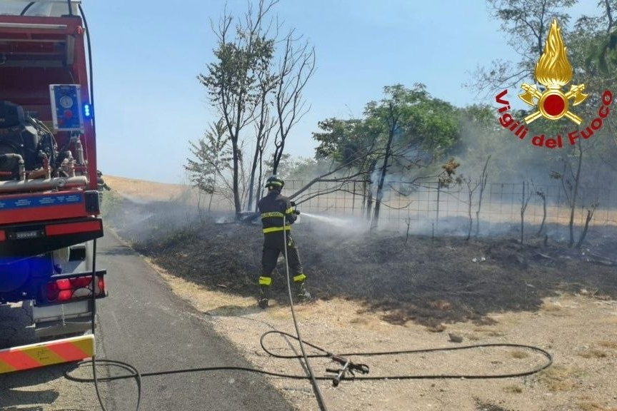 incendio sterpaglie