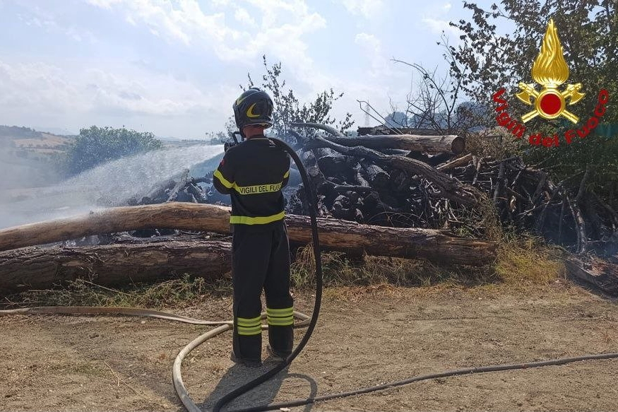 incendio vegetazione