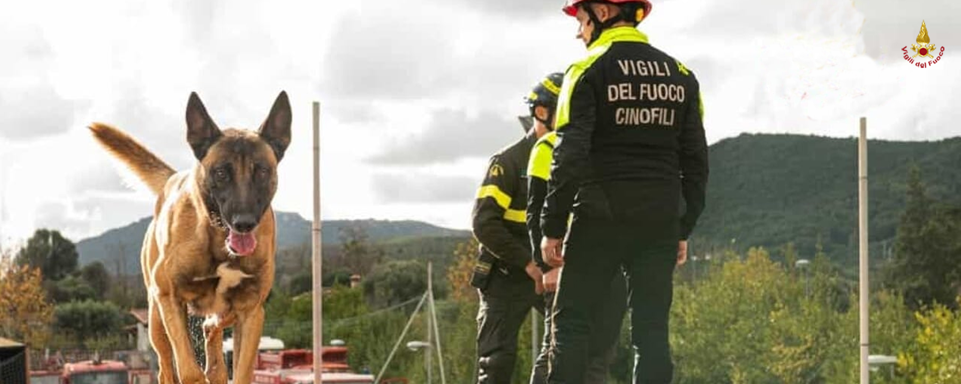 Addestramento unità cinofile dei Vigili del fuoco