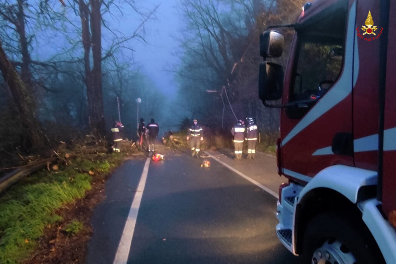 Intervento dei vigili del fuoco per la rimozione di alberi caduti sulla sede stradale