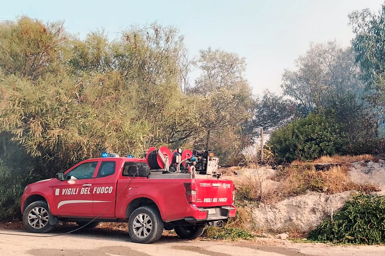 Emergenza incendi boschivi e di vegetazione