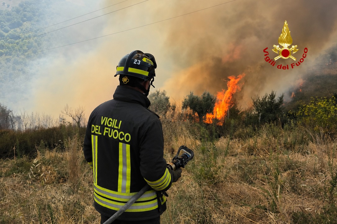 incendio vegetazione