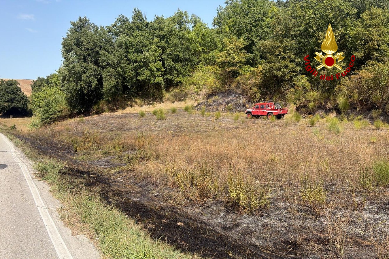 incendio vegetazione