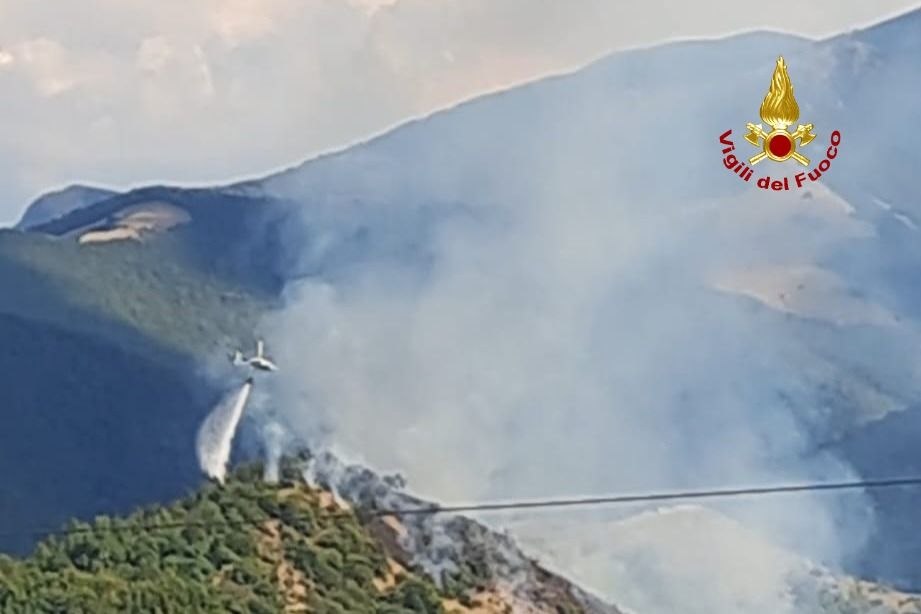 incendio vegetazione