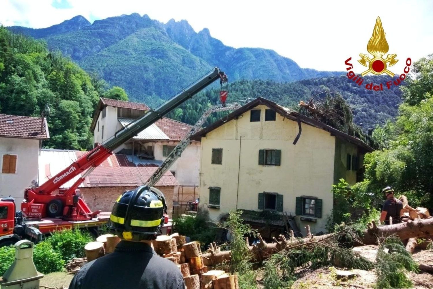 Piabta abbattuta su abitazione
