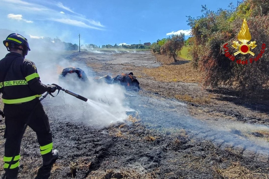 incendio vegetazione