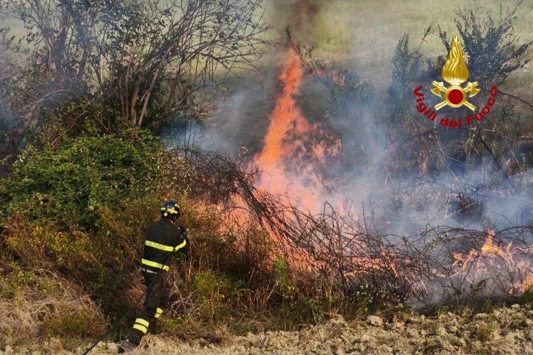 incendio canneto