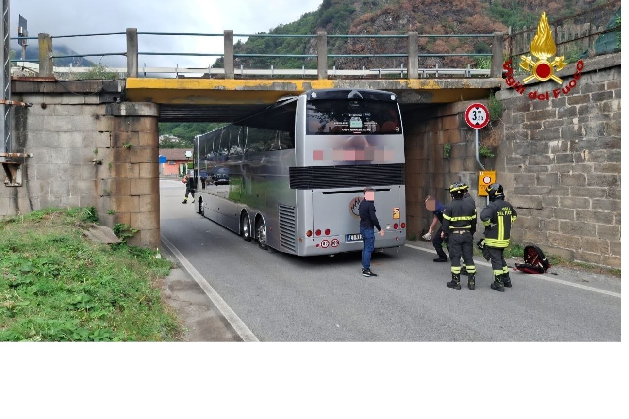 bus
