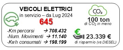 Infografica sul numero dei veicoli elettrici in servizio da luglio 2024