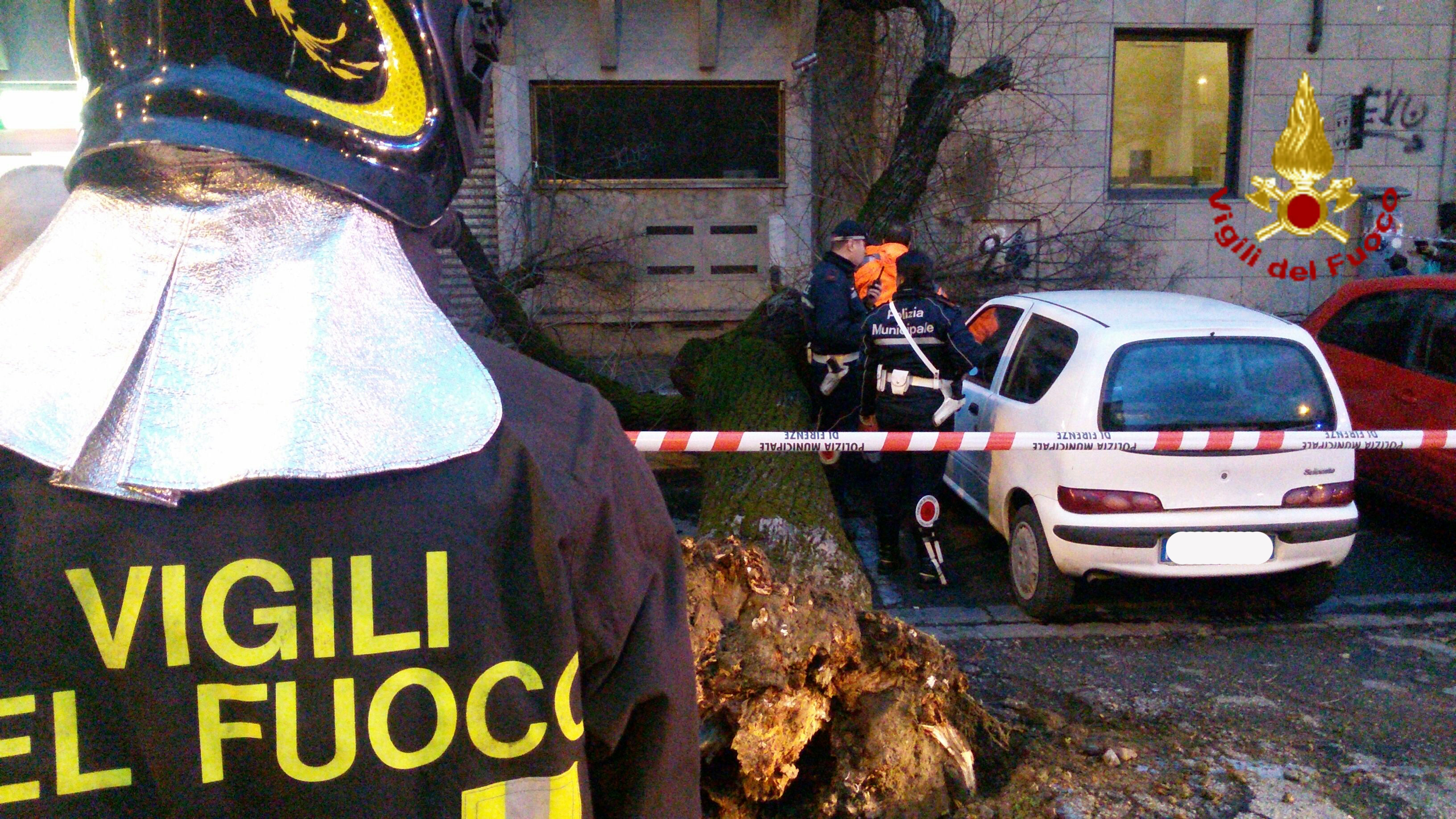 Una fase dell'intervento