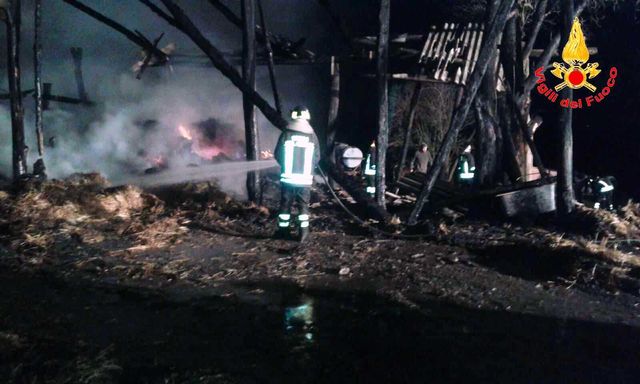 Vibo Valentia, incendio devasta fabbricato agricolo