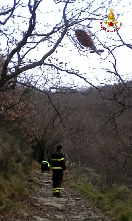 L'arrivo dell'elicottero