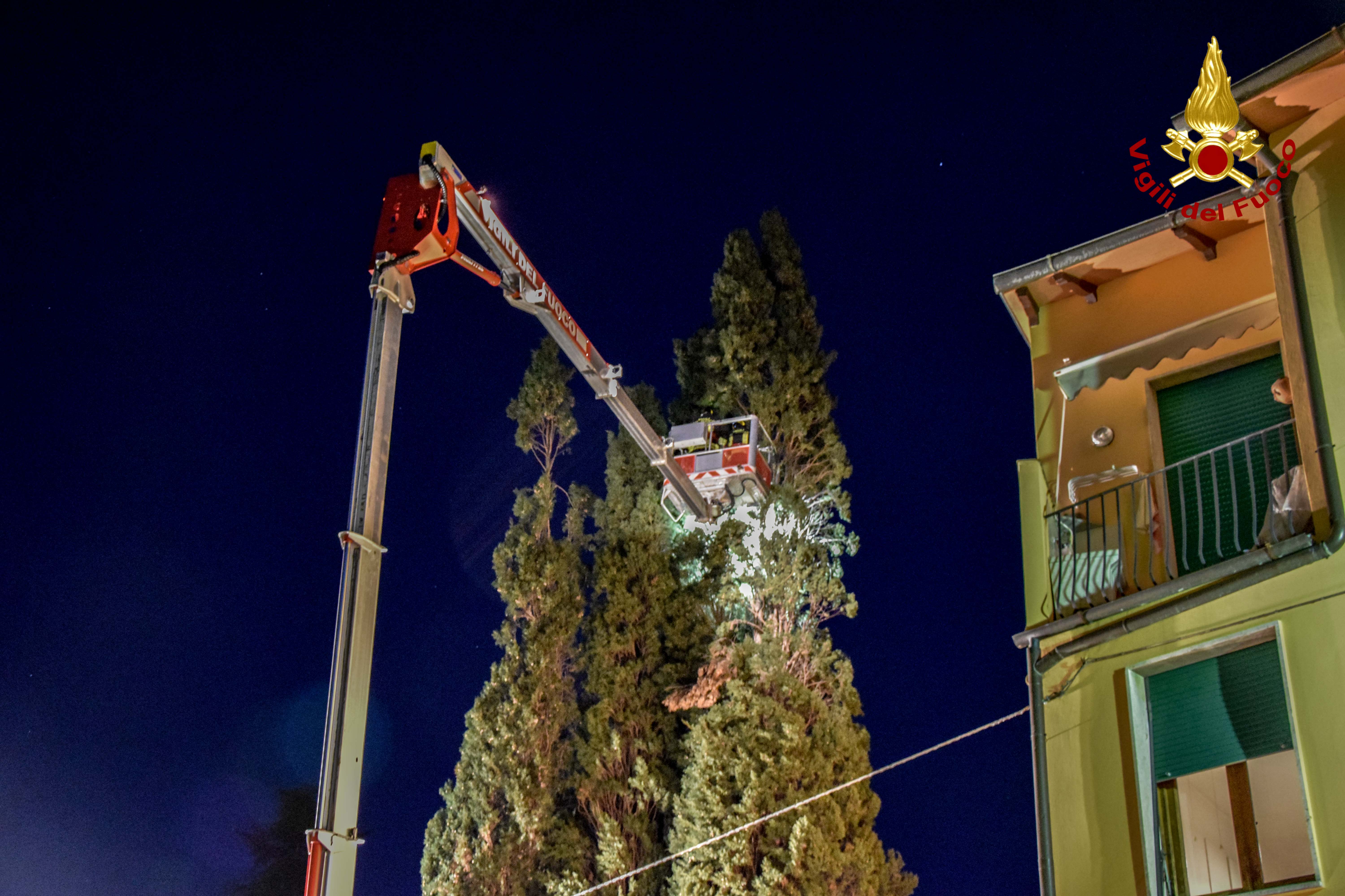 Toscana, forti raffiche di vento in tutta la regione