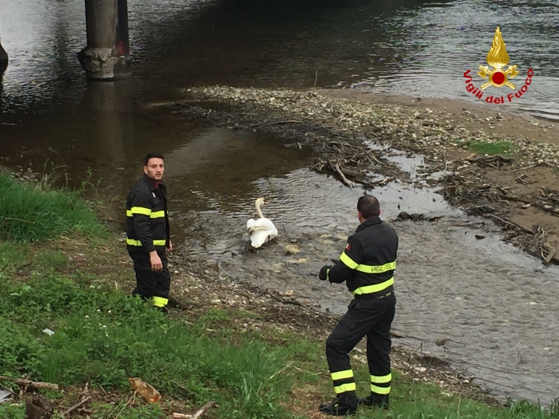 Una fase dell'intervento
