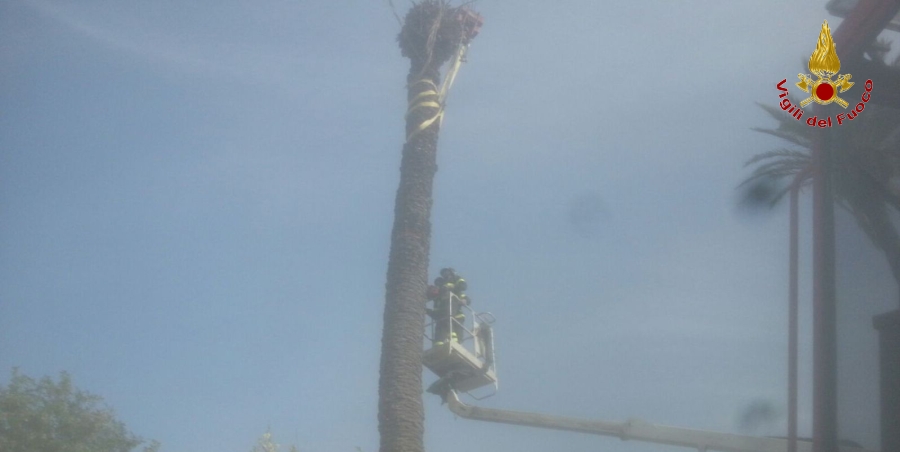 Un momento dell'intervento