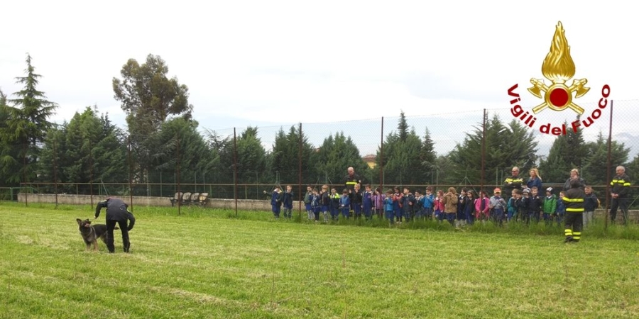 Un'ummagine dell'evento