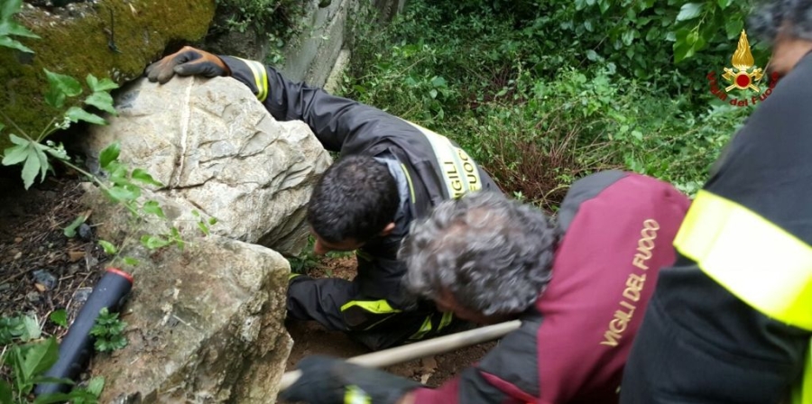 Un momento dell'intervento