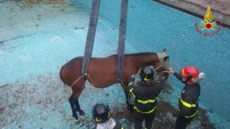 Una fase del salvataggio