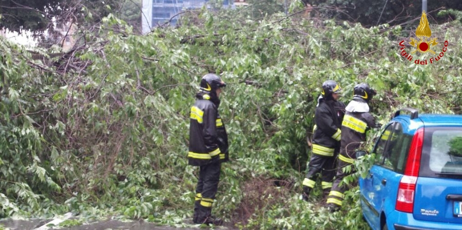 Un'immagine dei danni causati dal maltempo