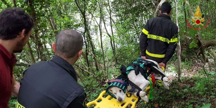 Una fase del salvataggio