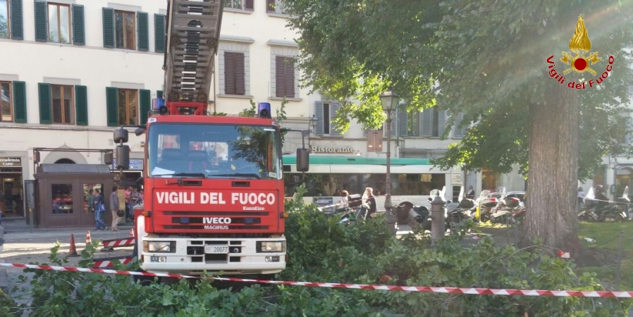 Una fase dell'intervento