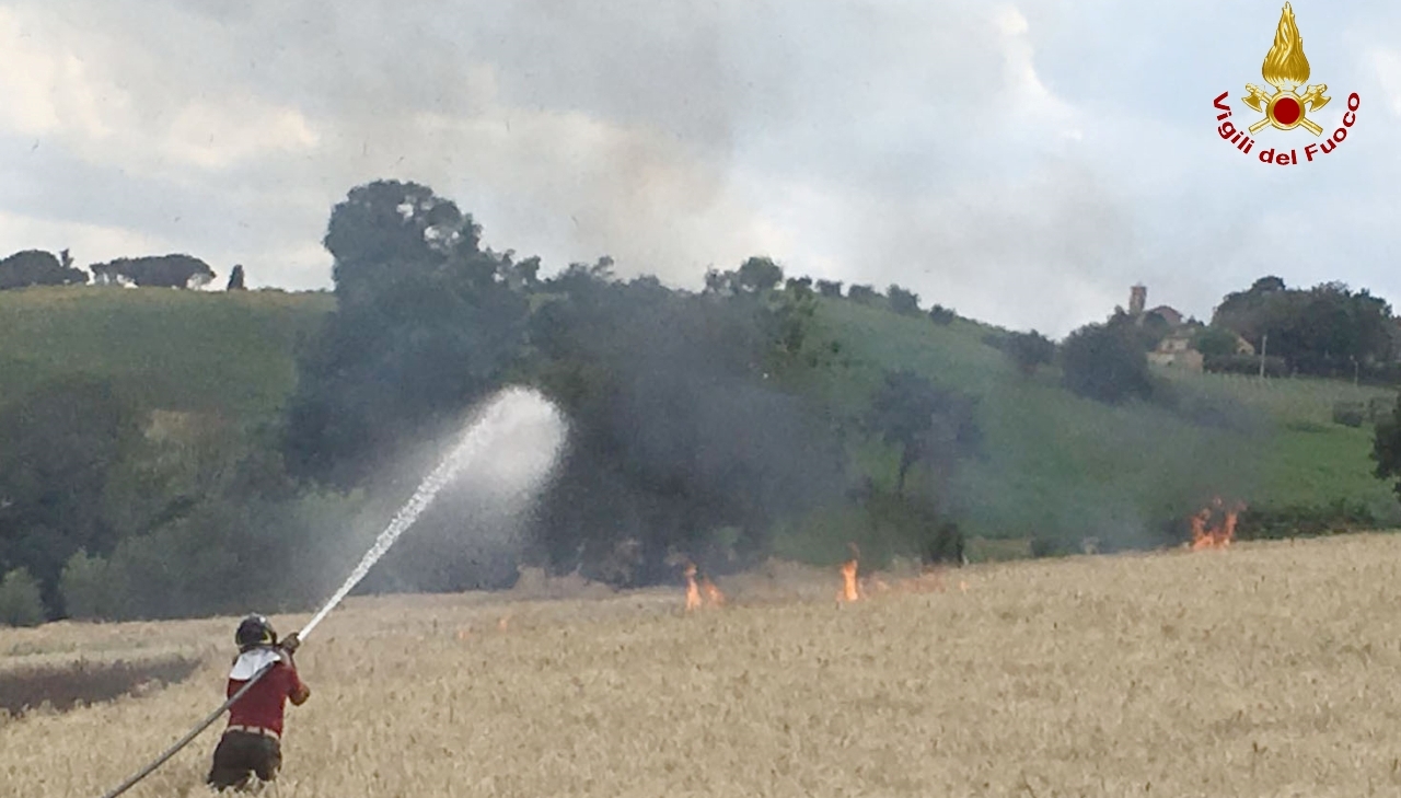 Ancona, bruciano un mezzo agricolo e 5 ettari di grano a Mopntale di Arcevia
