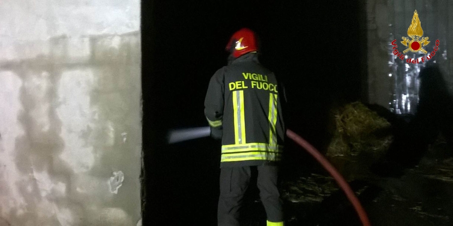 Padova, incendio in un'azienda agricola