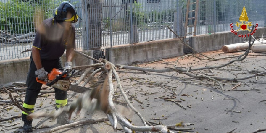 Terni, intenso temporale provoca allagamenti e caduta alberi e rami