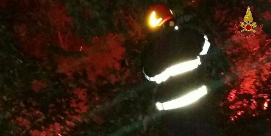 La Spezia, vasto incendio nel bosco di Prati di Vezzano
