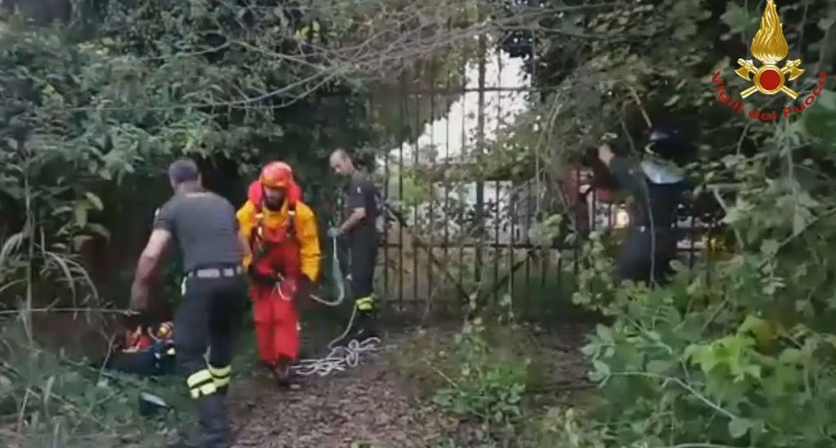 Padova, salvataggio di un cane a ponte San Nicolò